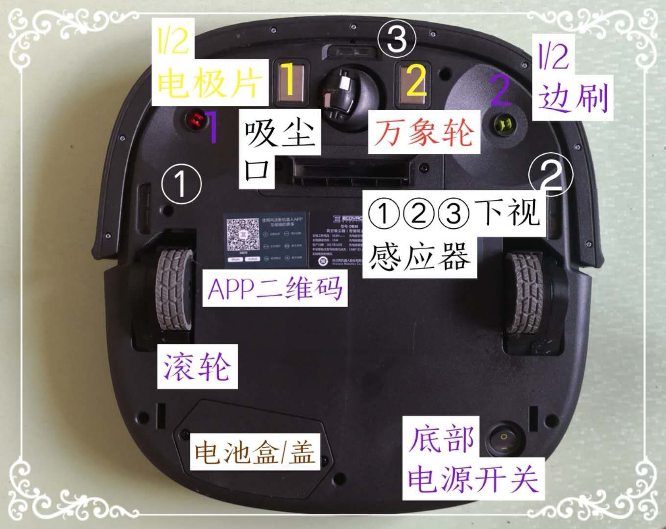 首页 试用报告详情                          科沃斯db35试用报告