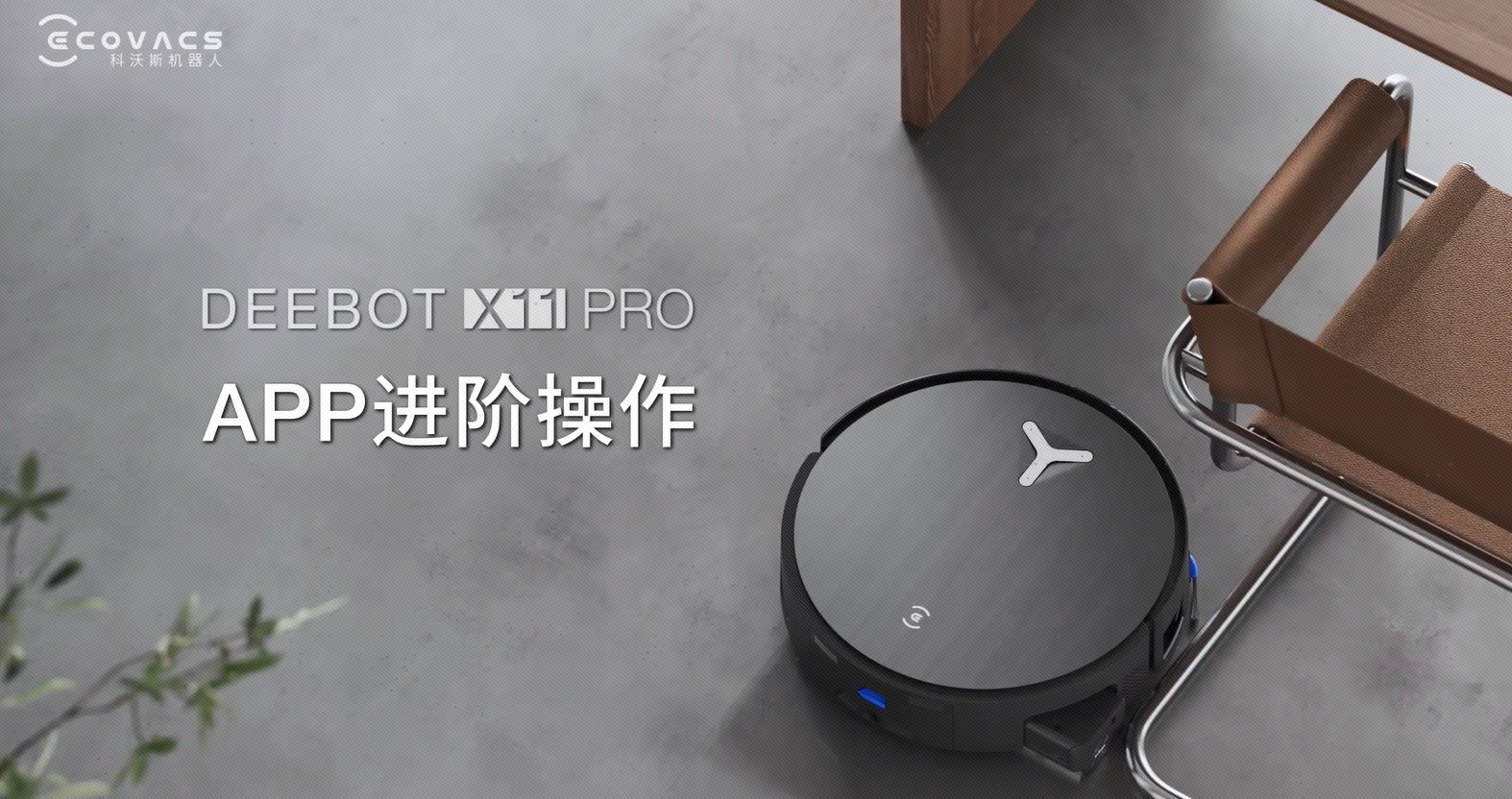 APP进阶操作指南