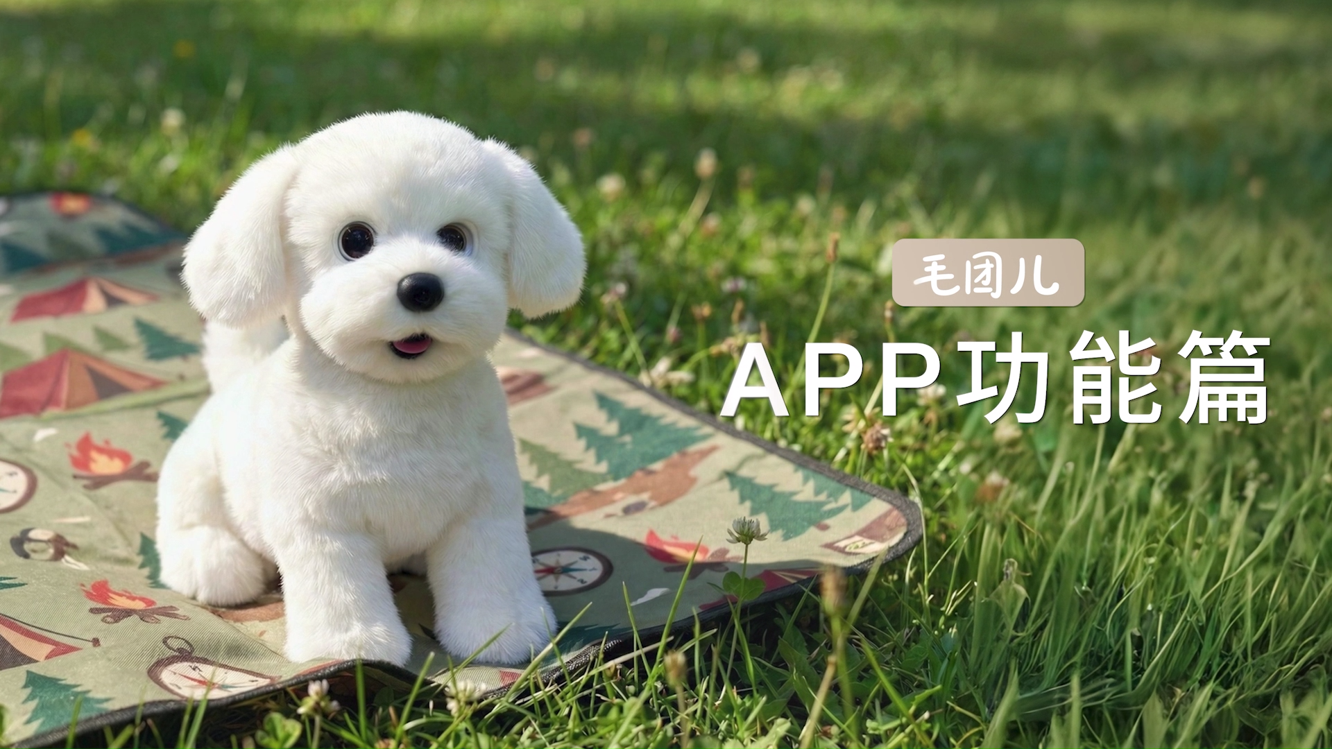 APP篇
